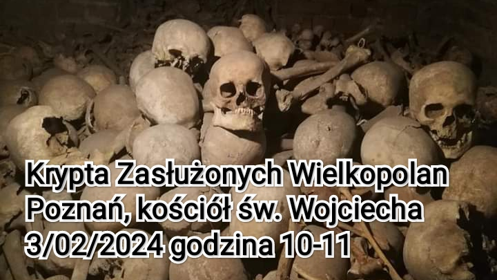 Na zdjęciu czaszki leżące na gruncie, poniżej najwazniejsze informacje o wydarzeniu