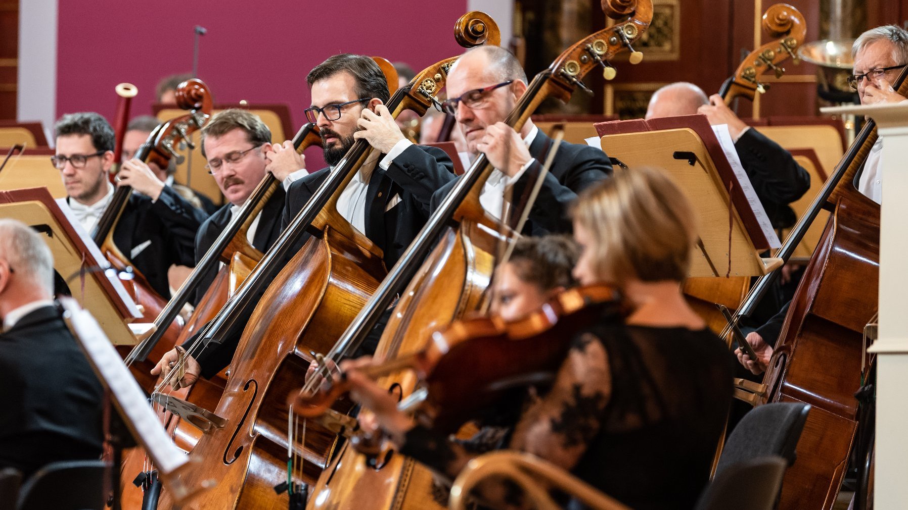 Na zdjęciu muzycy grający na instrumentach smyczkowych