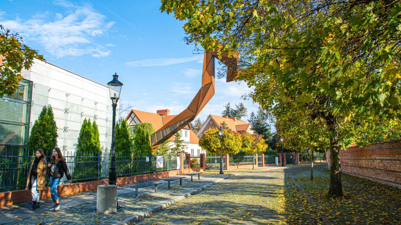 Na zdjęciu ostrów tumski, widać drzewo i konstrukcję rzeźbiarską