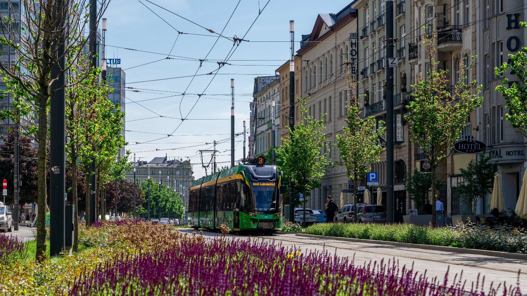 Na zdjeciu tramwaj jadący ulicą pełną zieleni