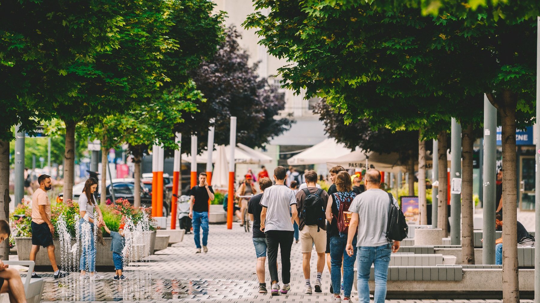 Zdjęcie przedstawia ludzi idących chodnikiem wśród drzew.