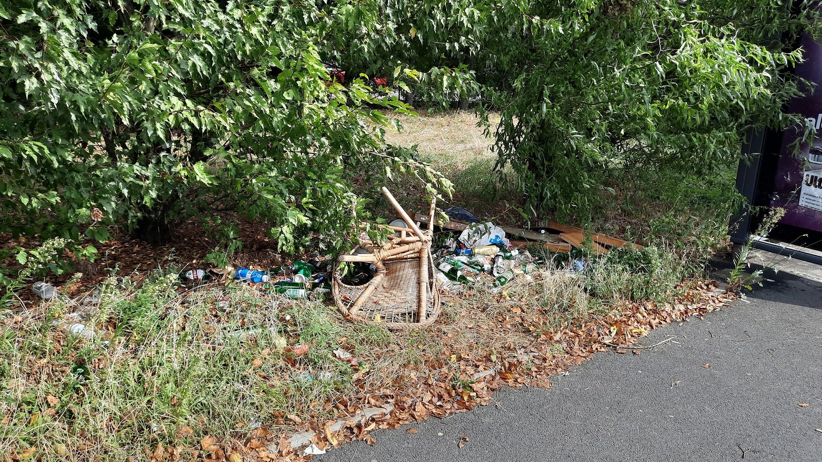 Ul. Wojciechowskiego - wysypisko odpadów przy przystanku MPK