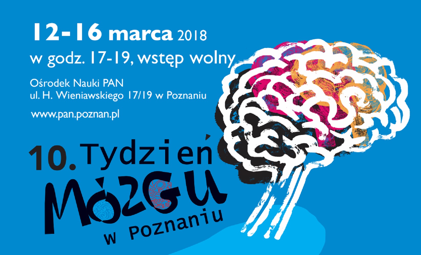 Tydzień Mózgu rozpoczął się 12 marca/fot.pan.poznan.pl - grafika artykułu