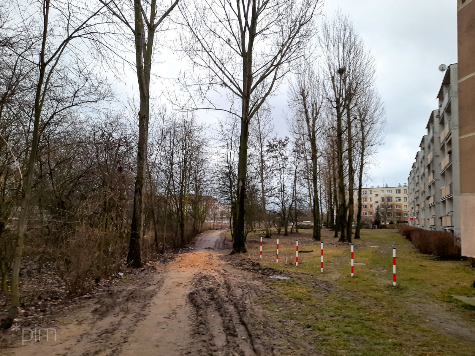 Galeria zdjęć pokazujących obecny stan terenu, gdzie ma powstać park - grafika artykułu