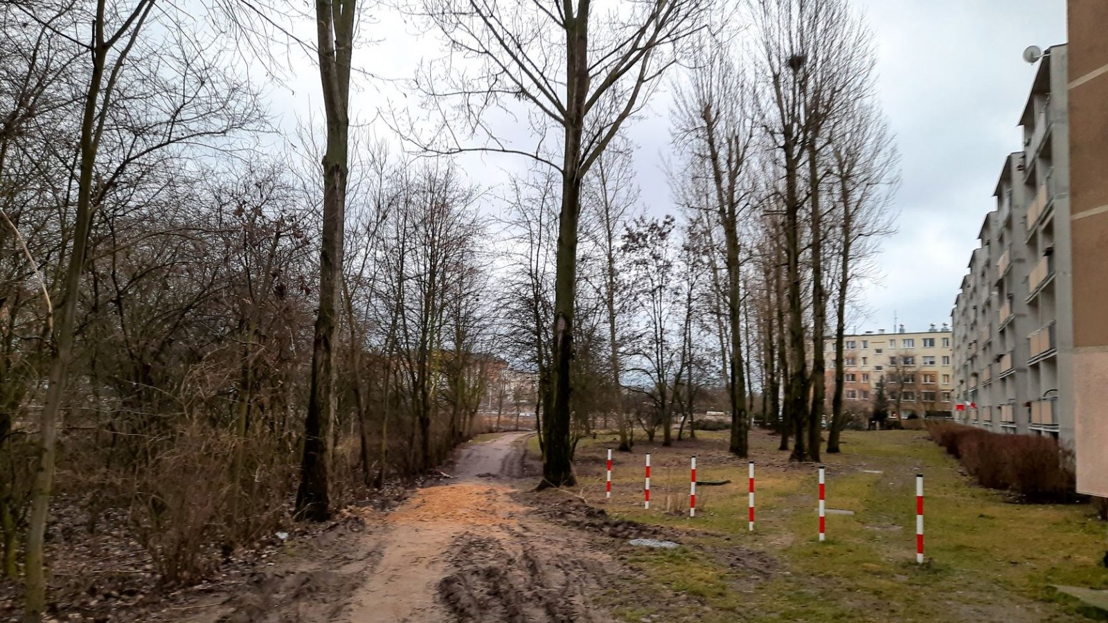 Galeria zdjęć pokazujących obecny stan terenu, gdzie ma powstać park