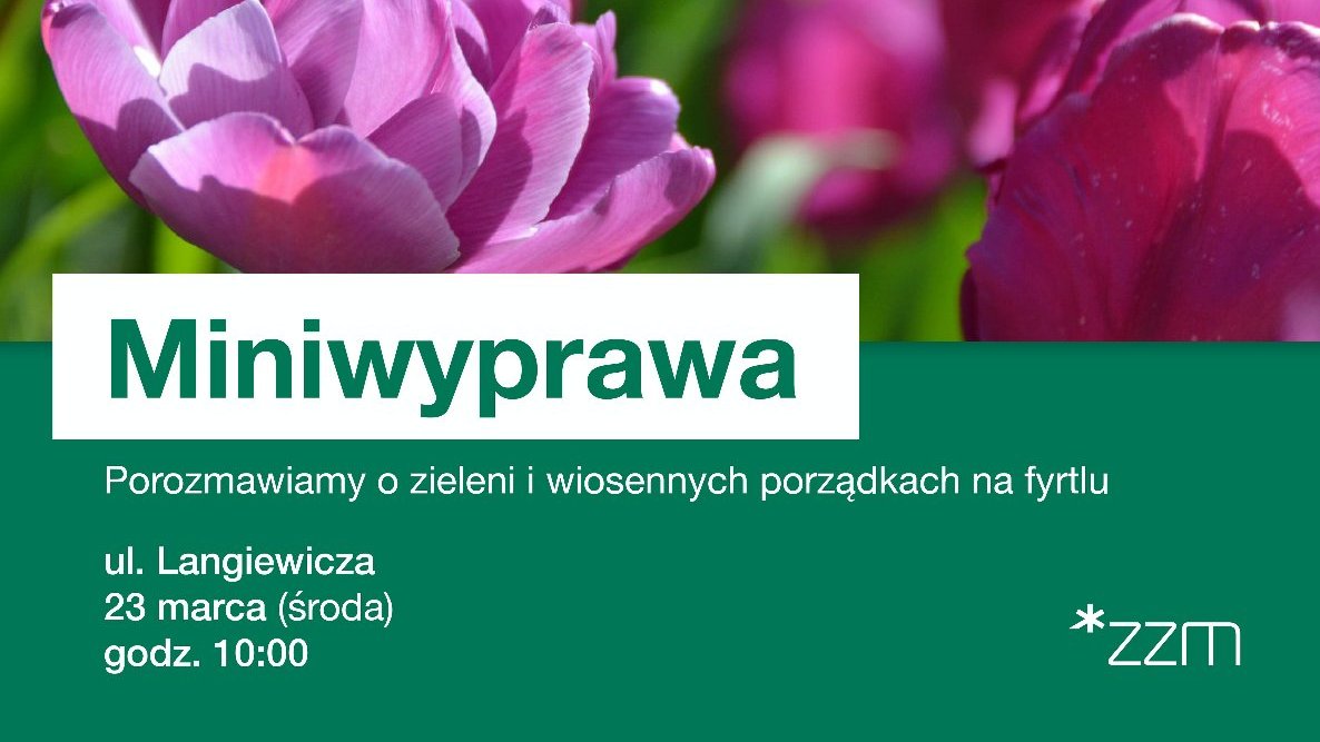 Grafika przedstawia zdjęcie różowych kwiatów oraz informacje o spacerze.