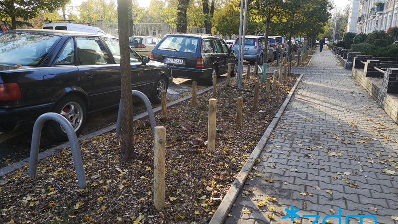 Uporządkowana zieleń i parkowanie na na Wildzie