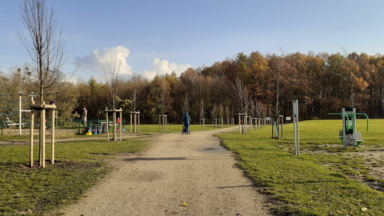 Aleja spacerowa między drzewami. Na drodze kobieta z wózkiem dziecięcym.