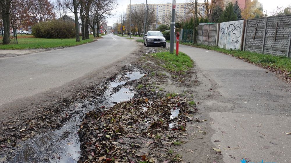 Miejsca, gdzie posadzone zostaną drzewa