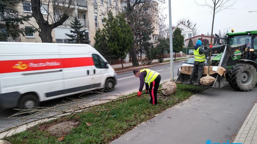 Sadzenie drzew przy ul. Milczańskiej