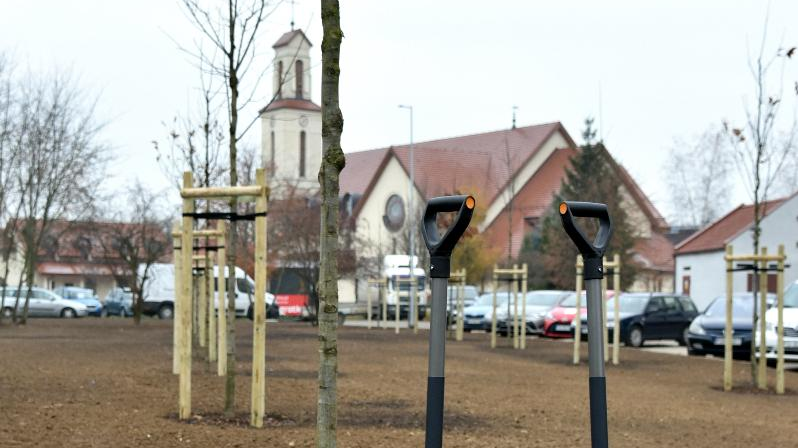 Na pierwszym planie drzewa i łopaty, w tle kościół.