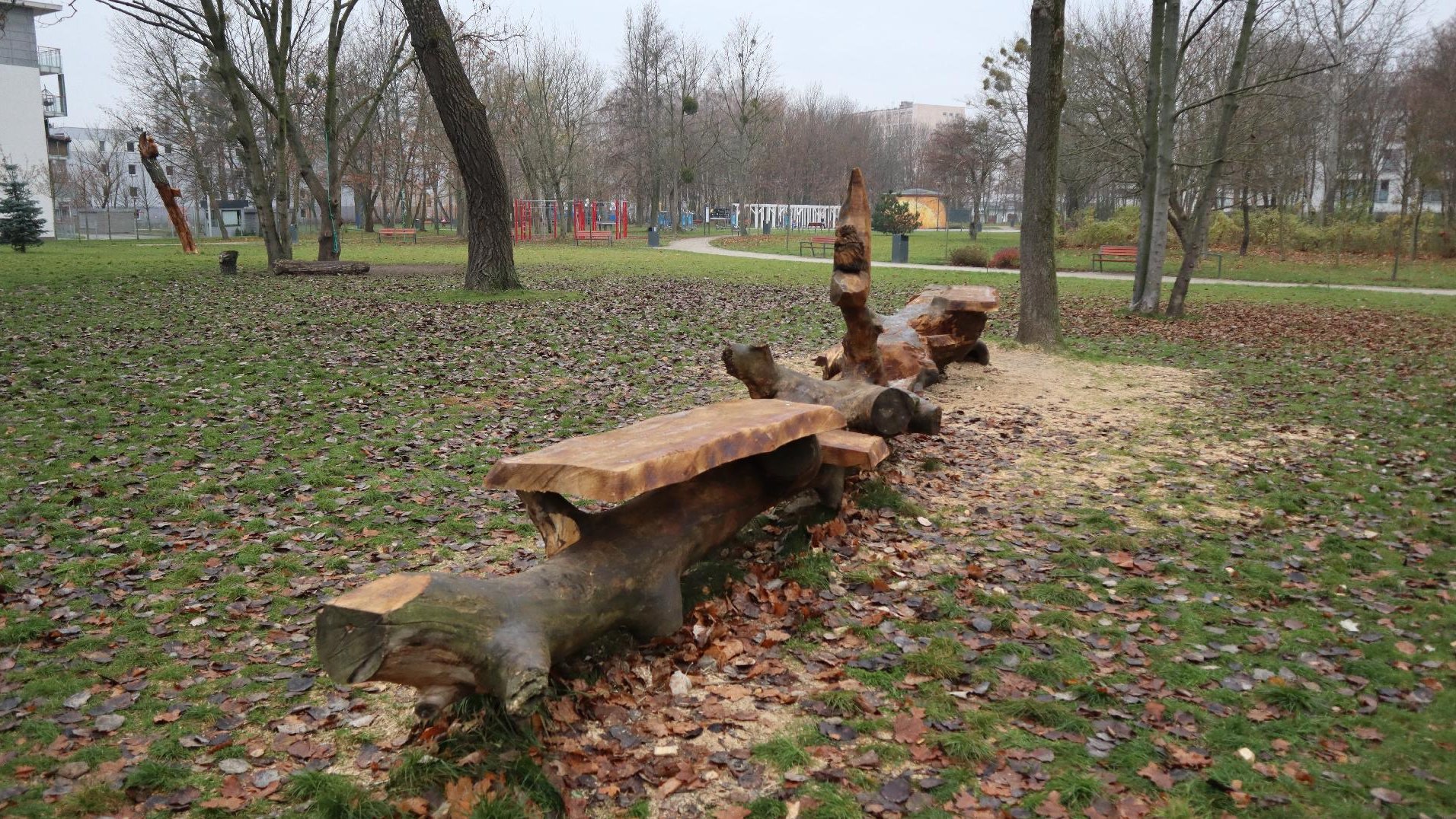 Zdjęcie przedstawia drewnianą rzeźbę pełniącą również funkcję ławki. W tle widać park.