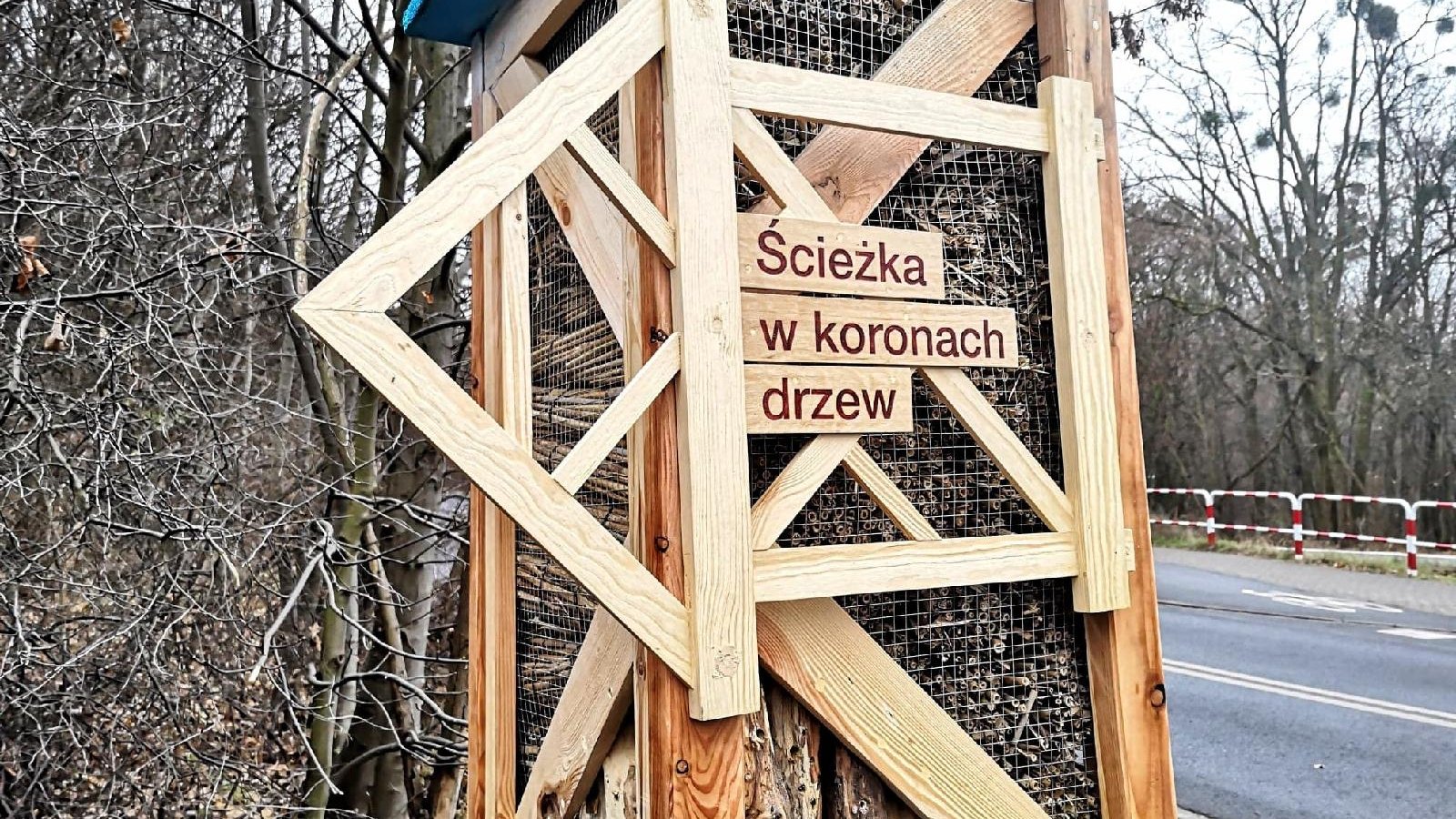 Zdjęcie przedstawia Ścieżkowskaz, czyli drewniane oznakowanie wskazujące drogę do ścieżki w koronach drzew. Jest ono jednocześnie hotelem dla owadów.