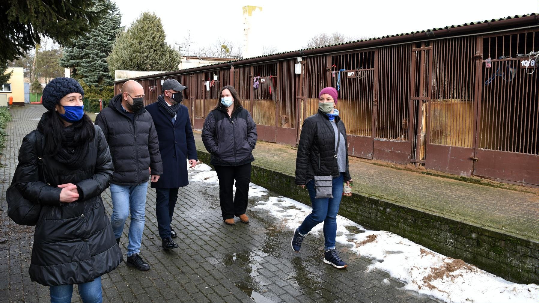 zdjęcie przedstawia urzędników i pracowników schroniska, którzy spacerują obok boksów z psami.