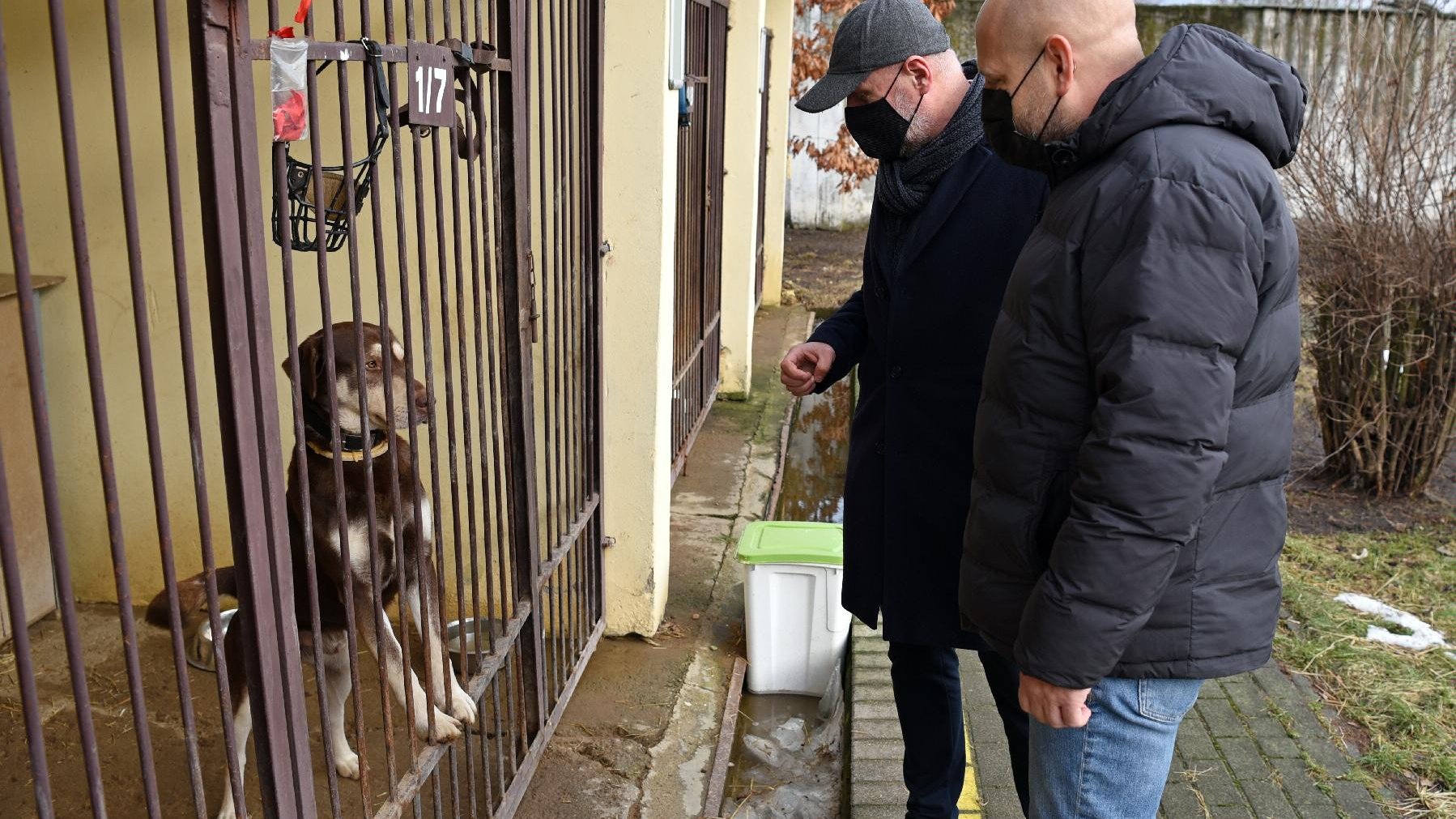 Zastępca prezydenta, Bartosz Guss i Maciej Dźwig, dyrektor Usług Komunalnych stoją przed ogrodzonym kratami boksem, w którym znajduje się czarny pies.