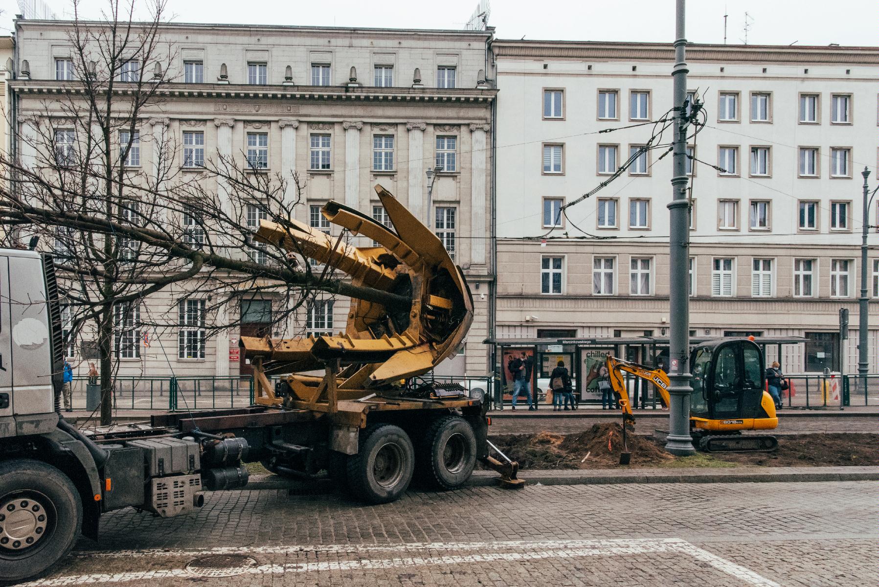 Galeria zdjęć z przesadzania drzew z Al. Marcinkowskiego do Parku Rataje - grafika artykułu