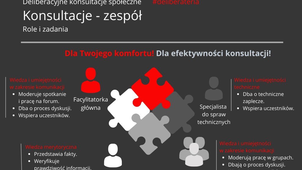 Infografika - Konsultacje - zespół: role i zadania.