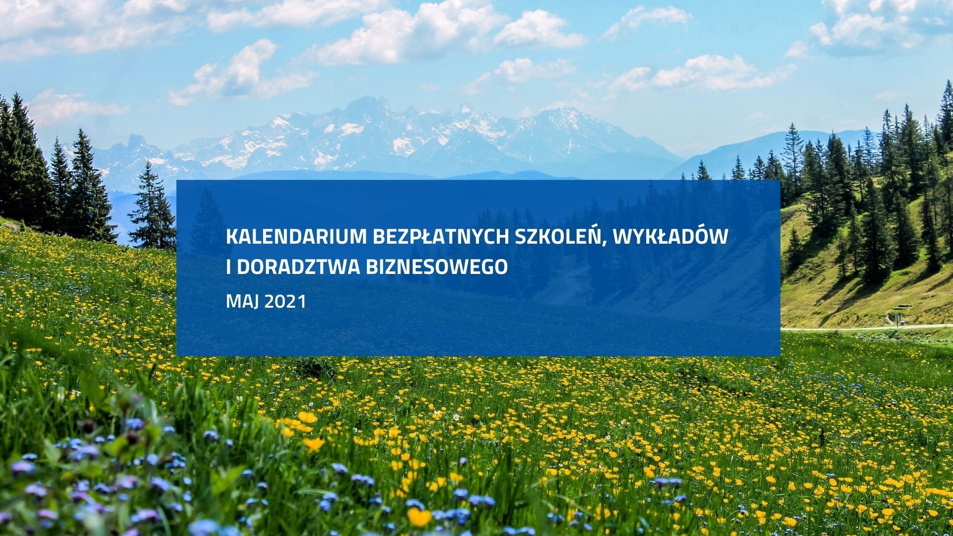 Grafika składa siez dwóch elementów. W tel zdjęcie ukwieconej łąki. Po środku napis: Kalendarium bezpłatnych szkoleń, wykładów i doradztwa biznesowego. Maj 2021. - grafika artykułu