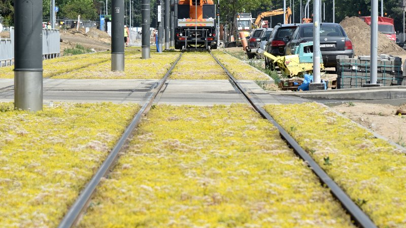 Galeria zdjęć przedstawia postęp pracy nad tramwajem na Naramowice.