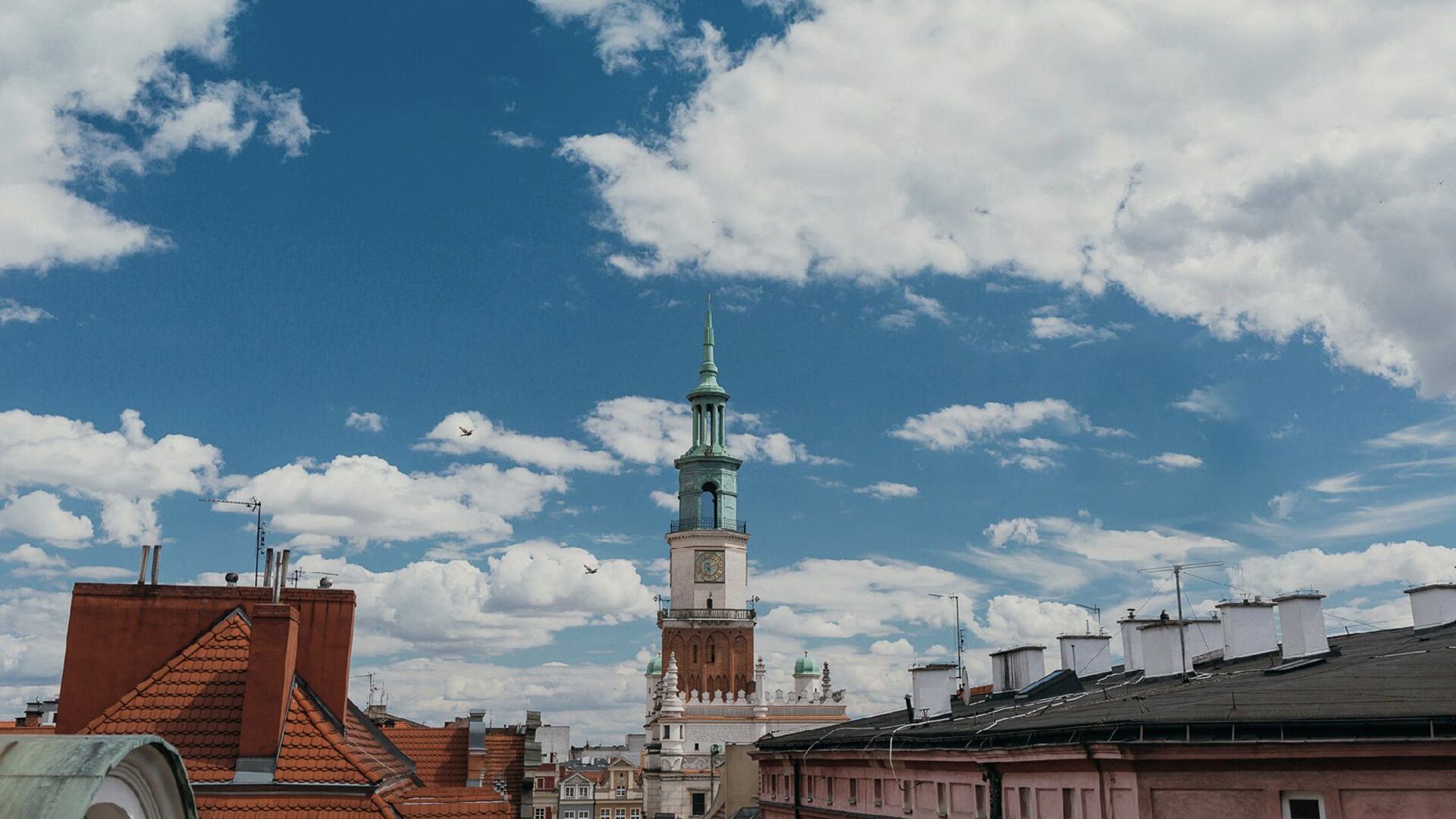 Widok na dachy budynków na Starym Mieście w Poznaniu. - grafika artykułu