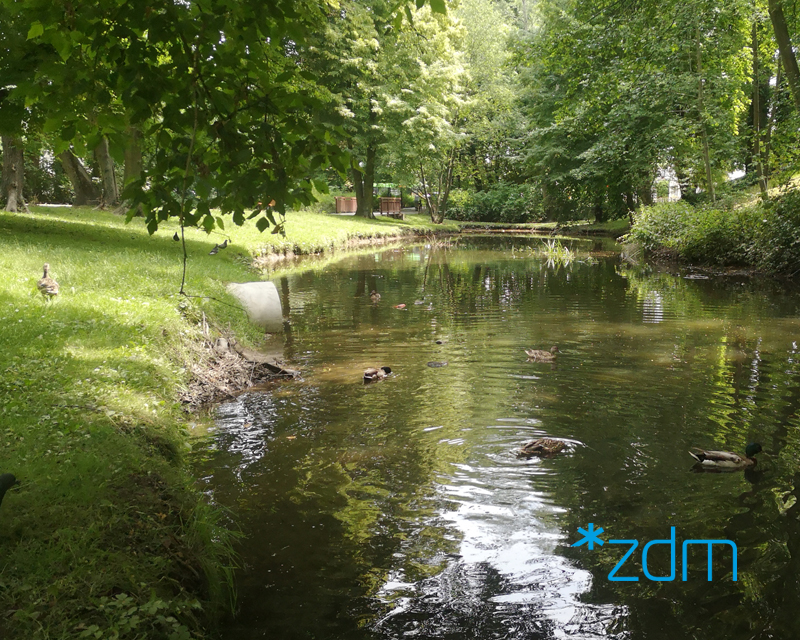 Park Sołacki. Środkiem płynie rzeka Bogdanka, na brzegach zieleń. W oddali most. - grafika artykułu