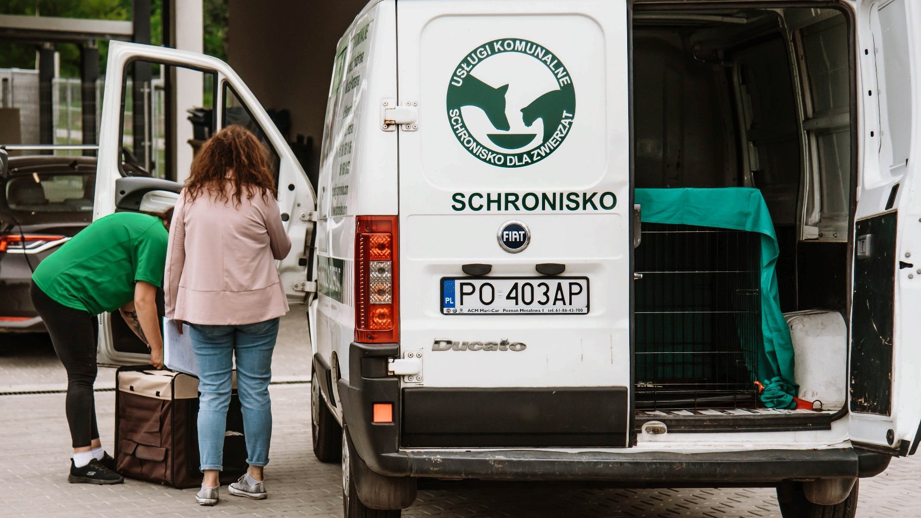 Galeria zdjęć przedstawia przeprowadzkę psów do nowego schroniska.