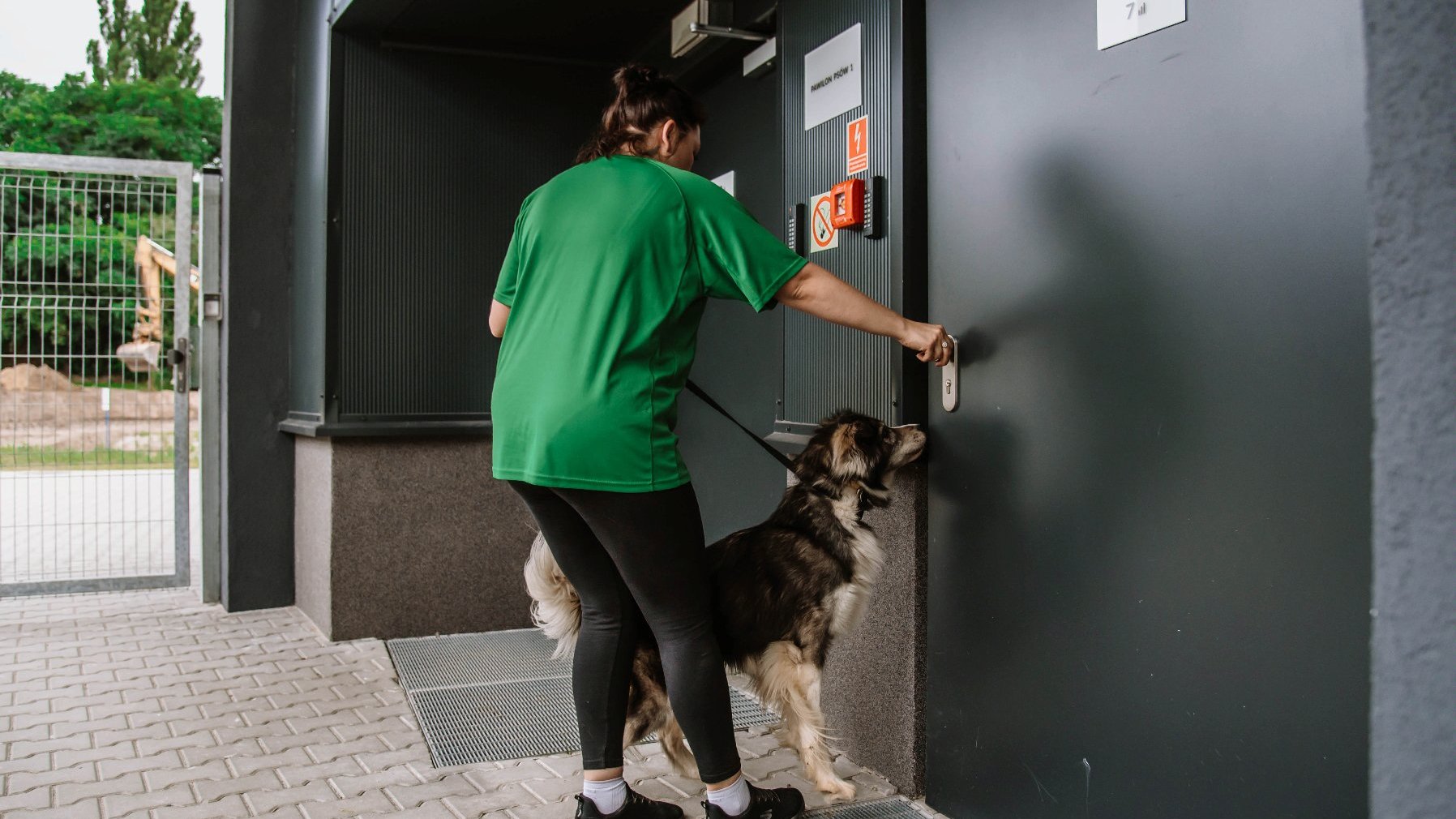 Galeria zdjęć przedstawia przeprowadzkę psów do nowego schroniska.