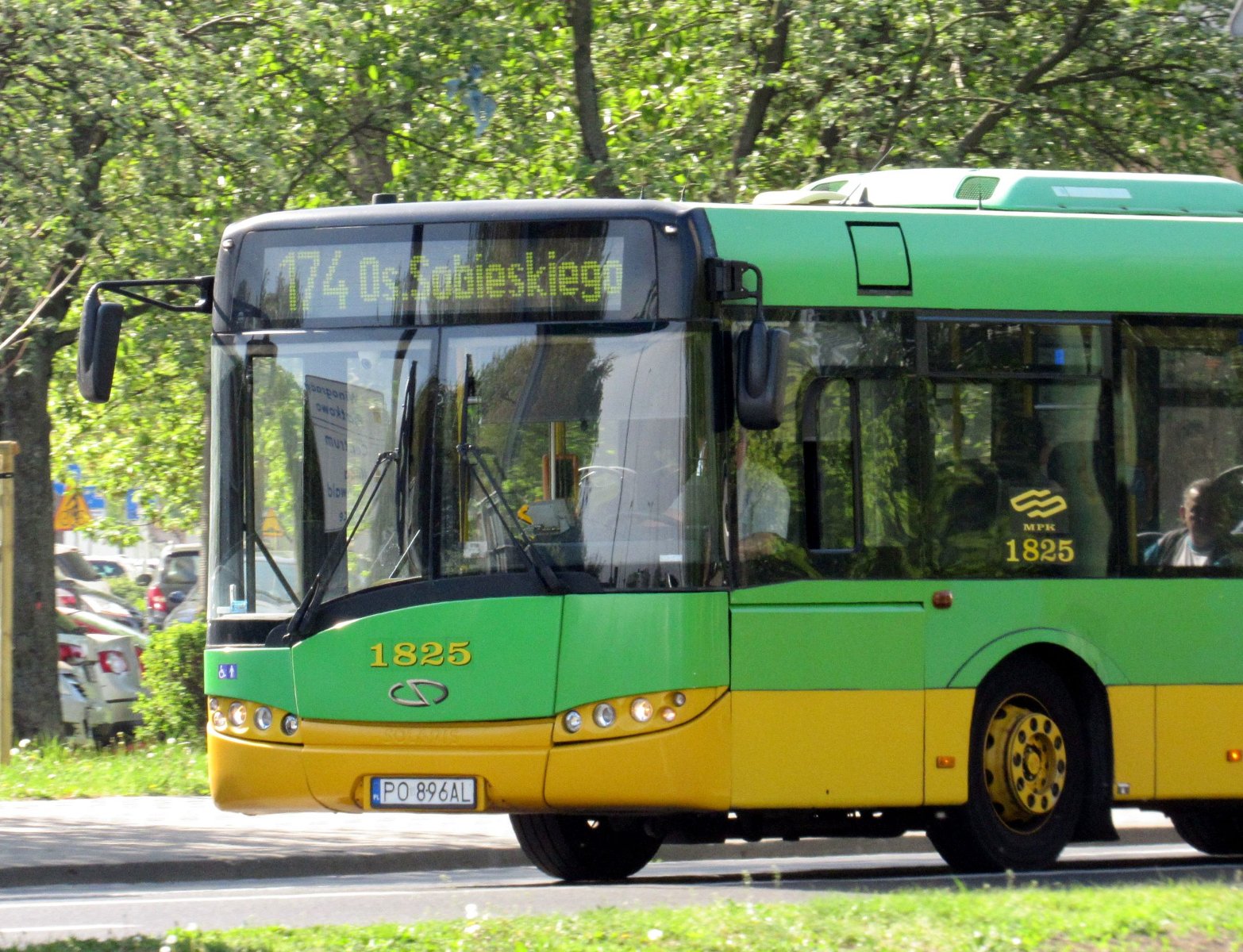 Autobus linii nr 174 - grafika artykułu