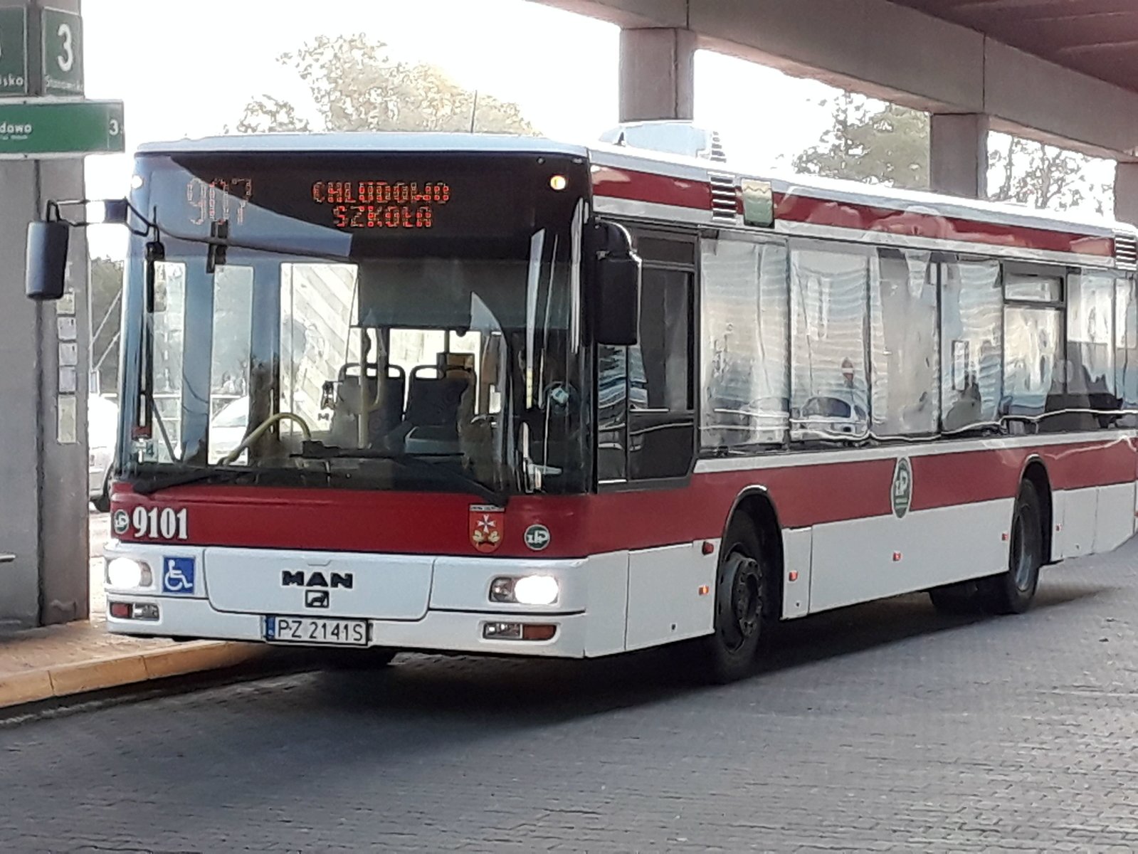 Autobus linii nr 903 - grafika artykułu