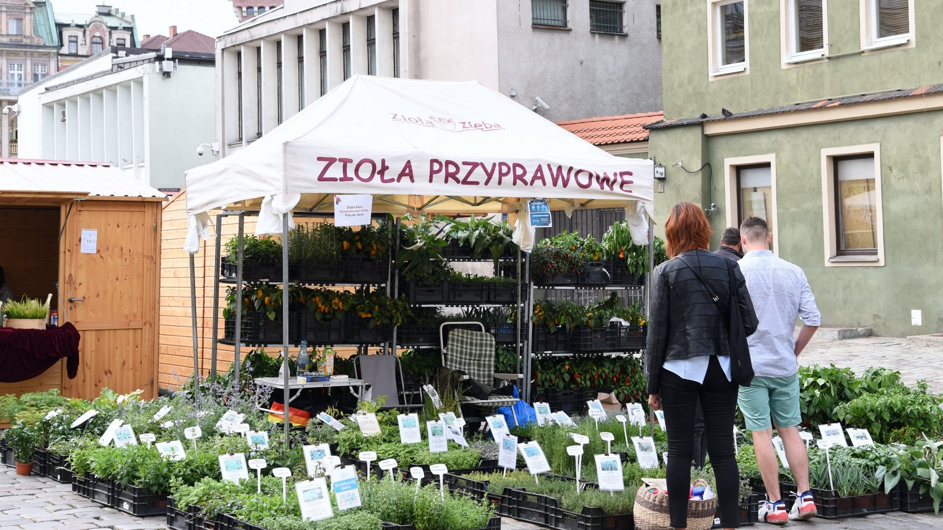 Galeria zdjęć przedstawia stoiska handlowe na Starym Rynku.