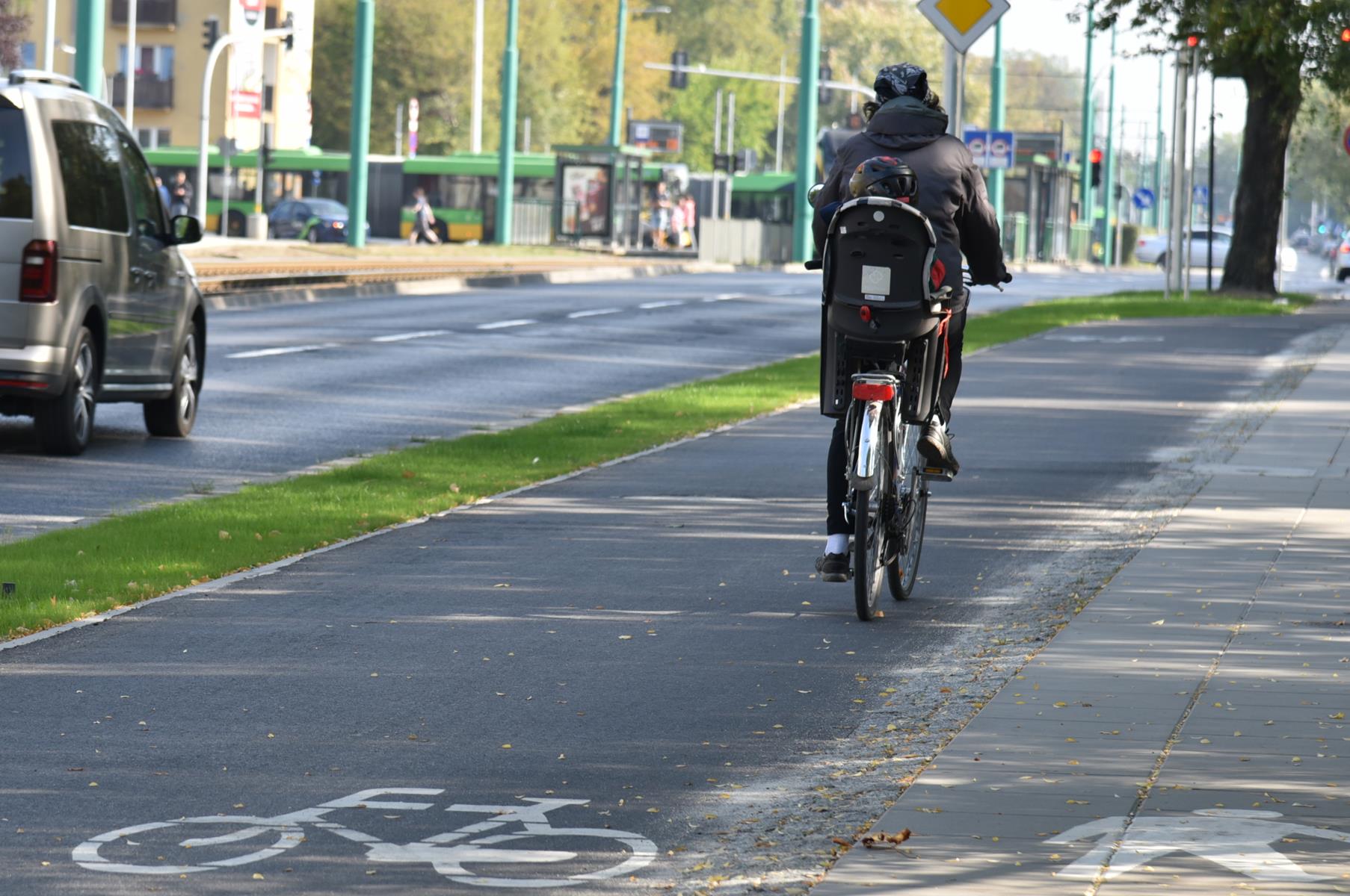 Rowerzysta na drodze rowerowej przy ul. Grunwaldzkiej - grafika artykułu