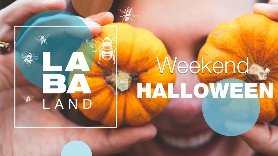 Plakat promujący hallowen w laba land.