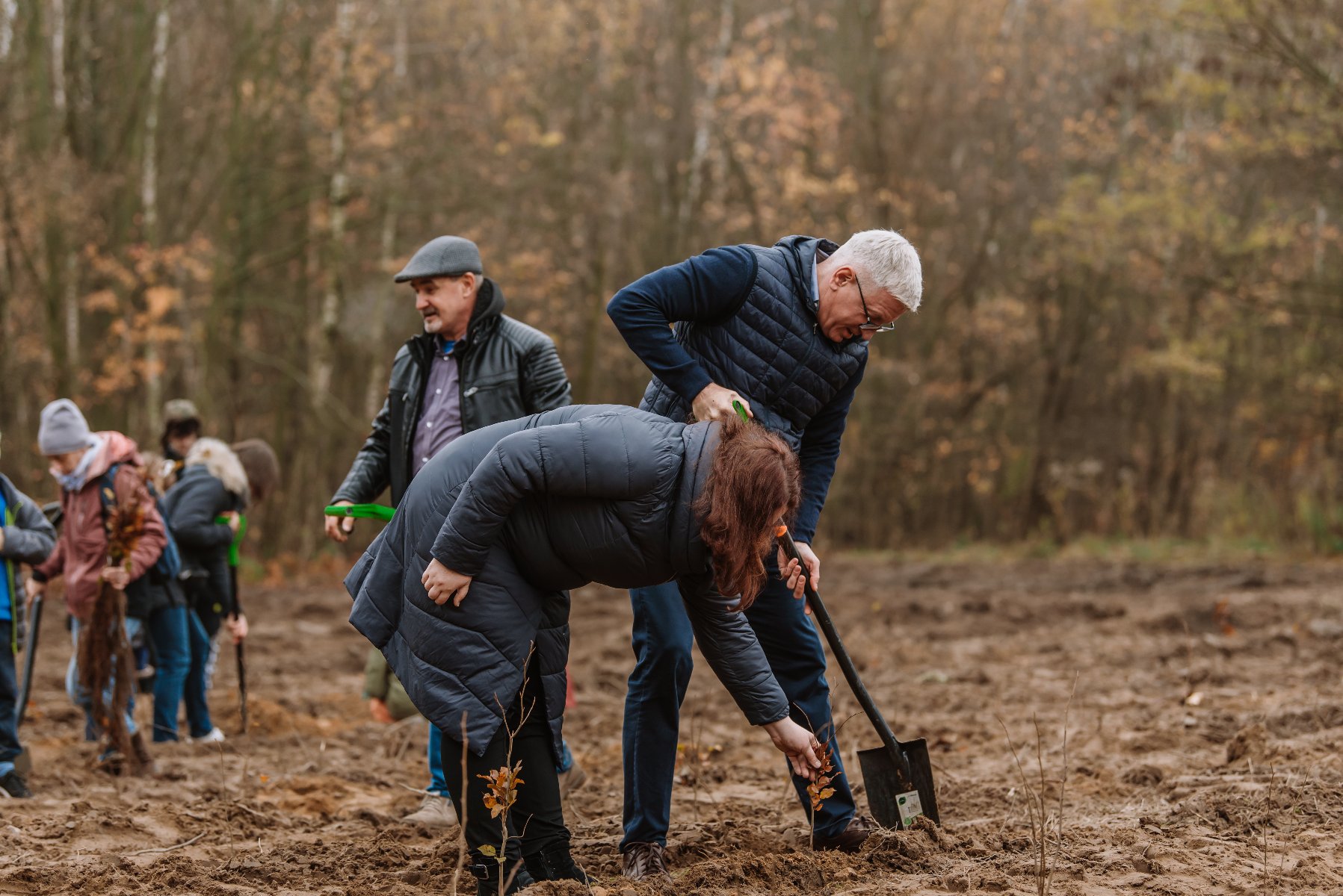 Zdjęcie przedstawia prezydenta Poznani i dyrektorkę Wydziału Kształtowania i Ochrony Środowiska sadzących drzewa. - grafika artykułu