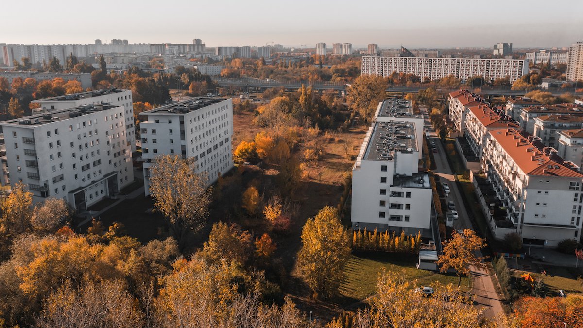 Galeria zdjęć przedstawia działkę, na której będą sadzone drzewa. Obok widać bloki.