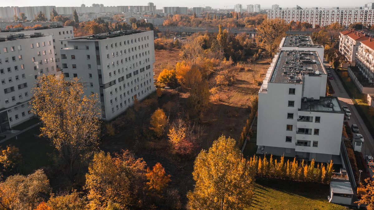 Galeria zdjęć przedstawia działkę, na której będą sadzone drzewa. Obok widać bloki.