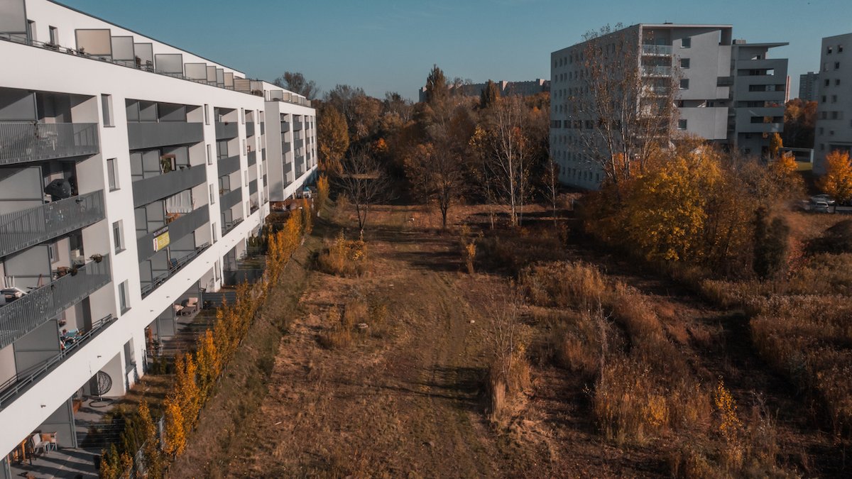 Galeria zdjęć przedstawia działkę, na której będą sadzone drzewa. Obok widać bloki.