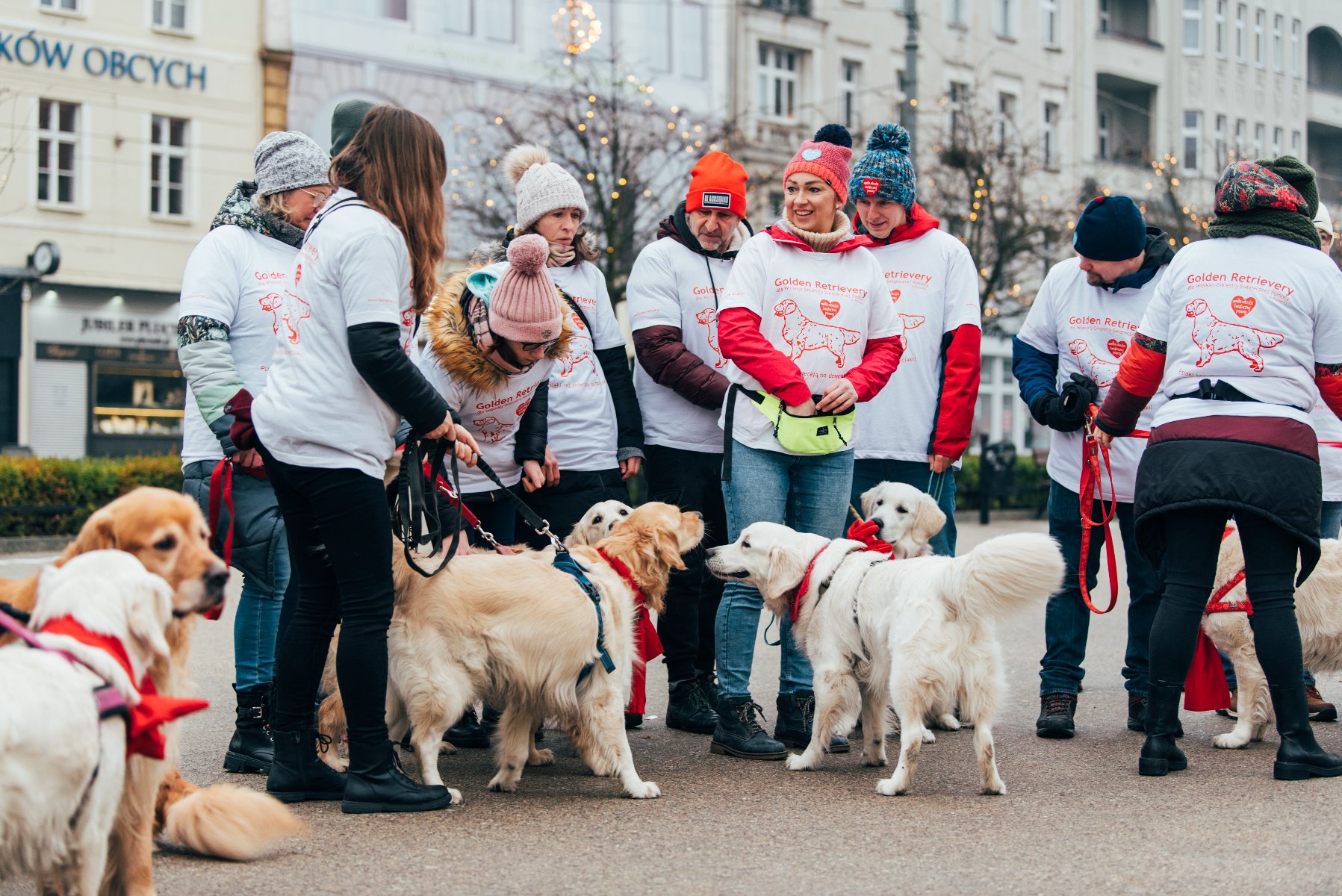 Galeria zdjęć przedstawia golden retrievery z właścicielami na pl. Wolności. - grafika artykułu