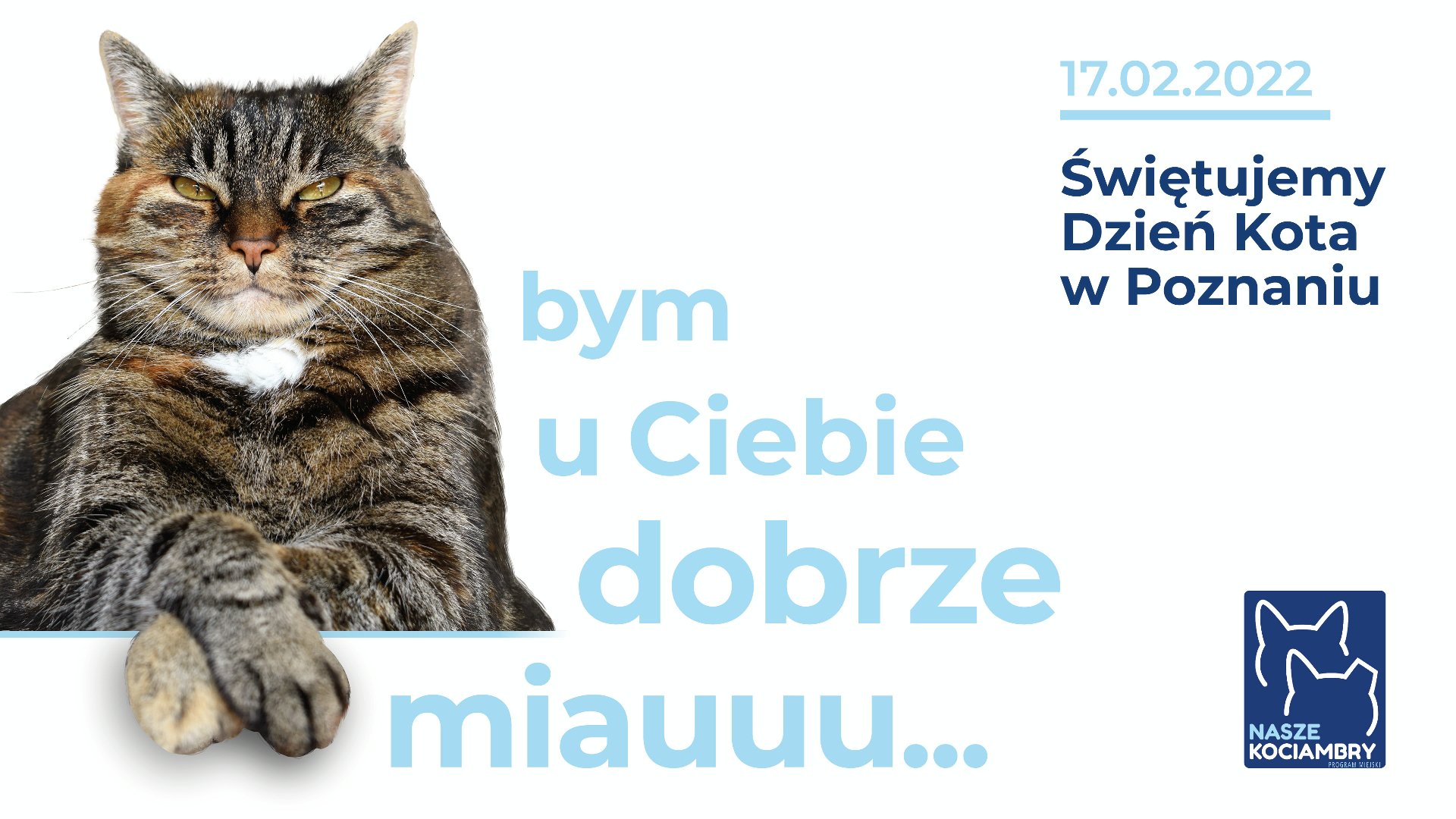 W lewej części grafiki znajduje się zdjęcie kota, obok napis "bym u ciebie dobrze miauuu..." W prawej części grafiki napis: 17.02.2022. Świętujemy Dzień Kota w Poznaniu. - grafika artykułu