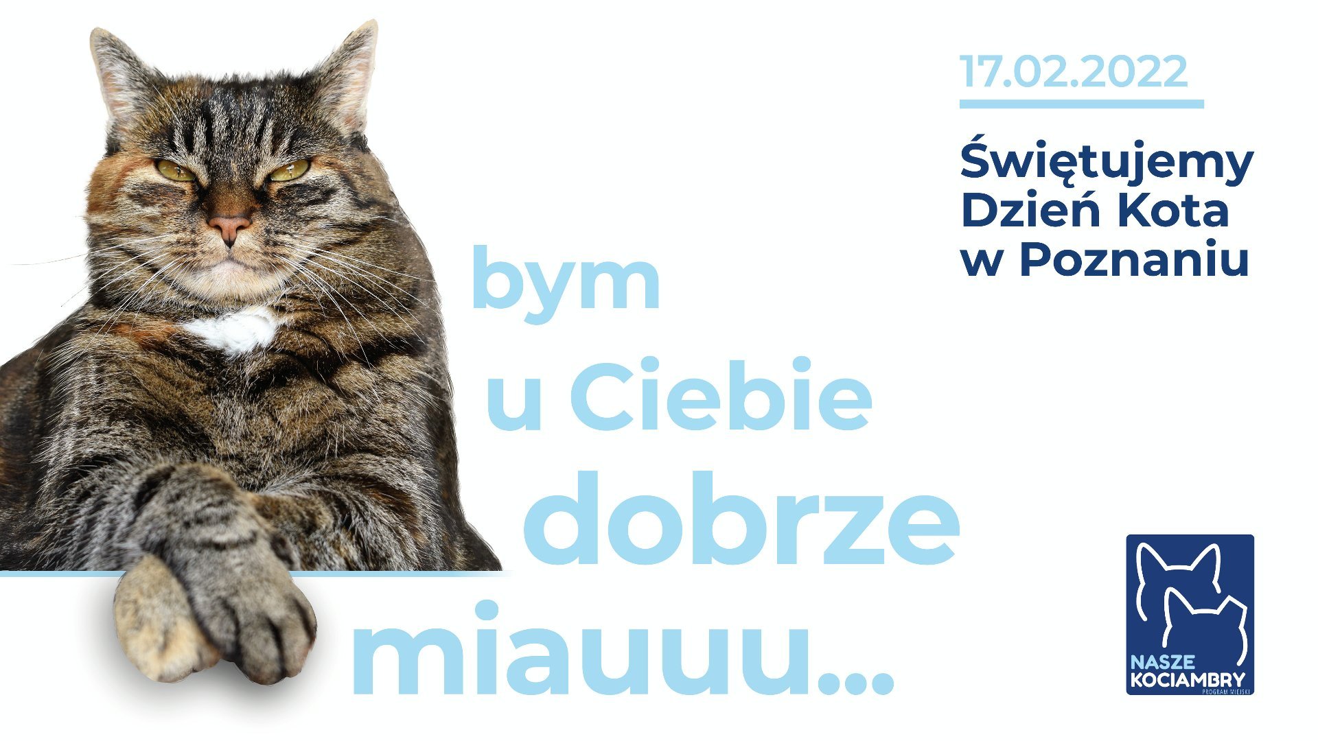 W lewej części grafiki znajduje się zdjęcie kota, obok napis "bym u ciebie dobrze miauuu..." W prawej części grafiki napis: 17.02.2022. Świętujemy Dzień Kota w Poznaniu.