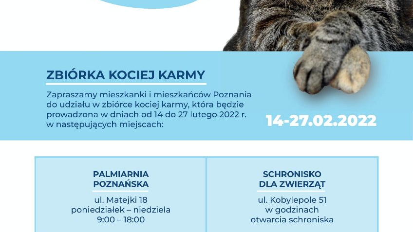 Plakat promujący zbiórkę kociej karmy. W górnej jego części zdjęcia kota z chmurką dialogową "daj jeść", poniżej szczegóły dotyczące zbiórki.