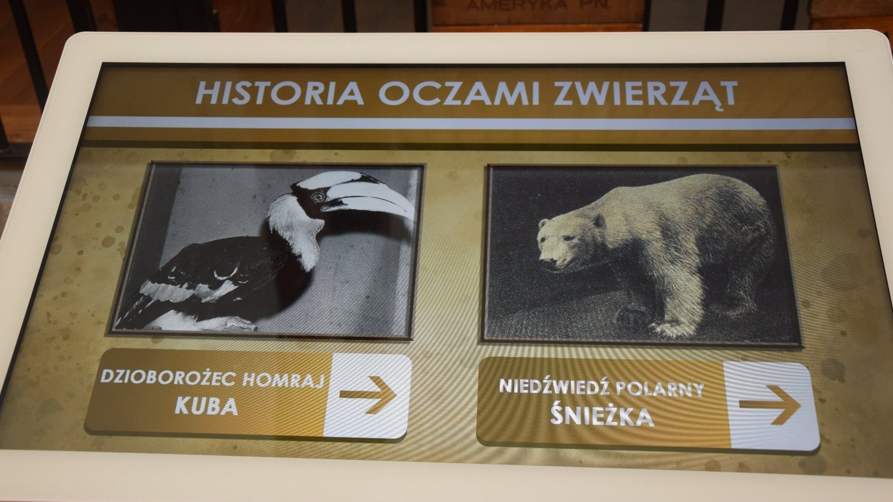 Galeria zdjęć przedstawia Muzeum Historii Zoo i Lwa.