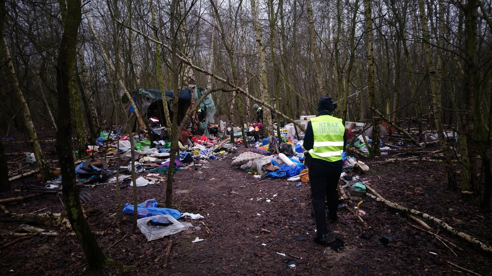 Zdjęcie przedstawia dużą ilość śmieci leżących w lesie. Na pierwszym planie widać strażnika miejskiego.