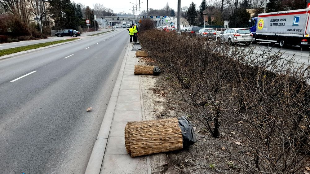 Galeria zdjęć z prac porządkowych na poznańskich ulicach