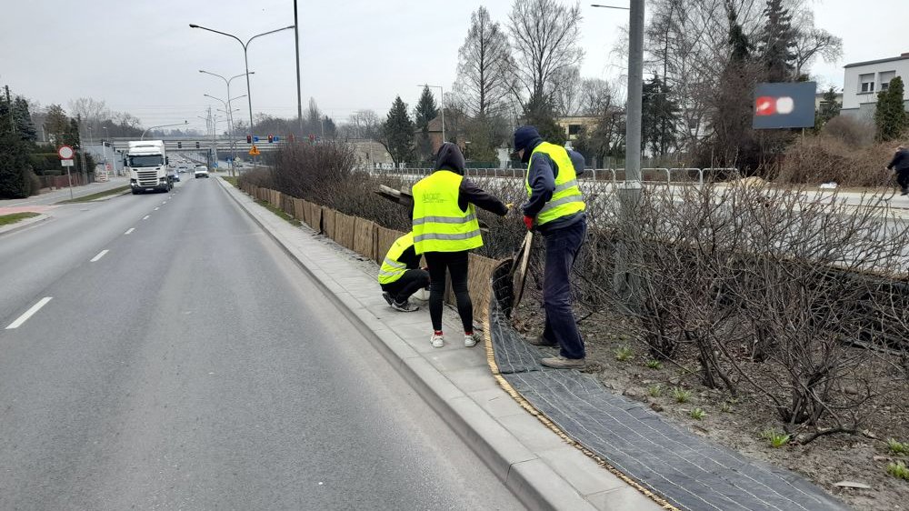 Galeria zdjęć z prac porządkowych na poznańskich ulicach