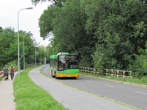 Autobus linii 184 - grafika artykułu