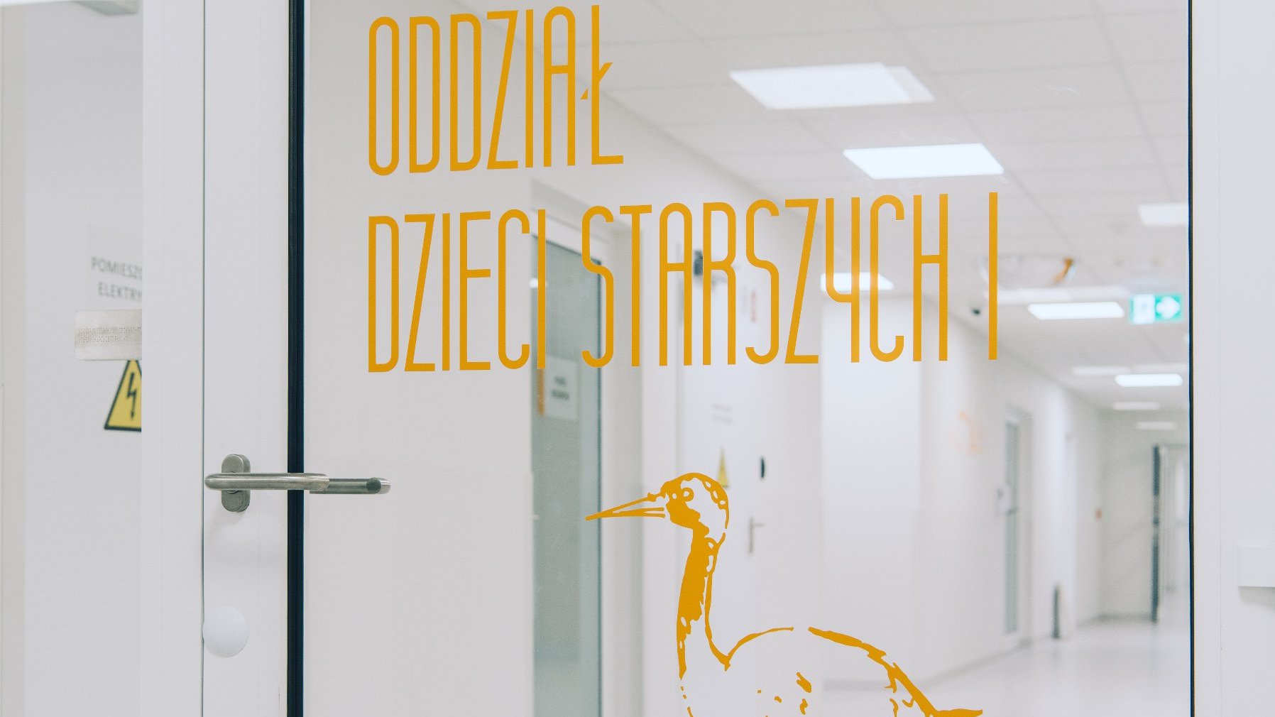 Na zdjęciu szklane drzwi z napisem Oddział dzieci starszych 1