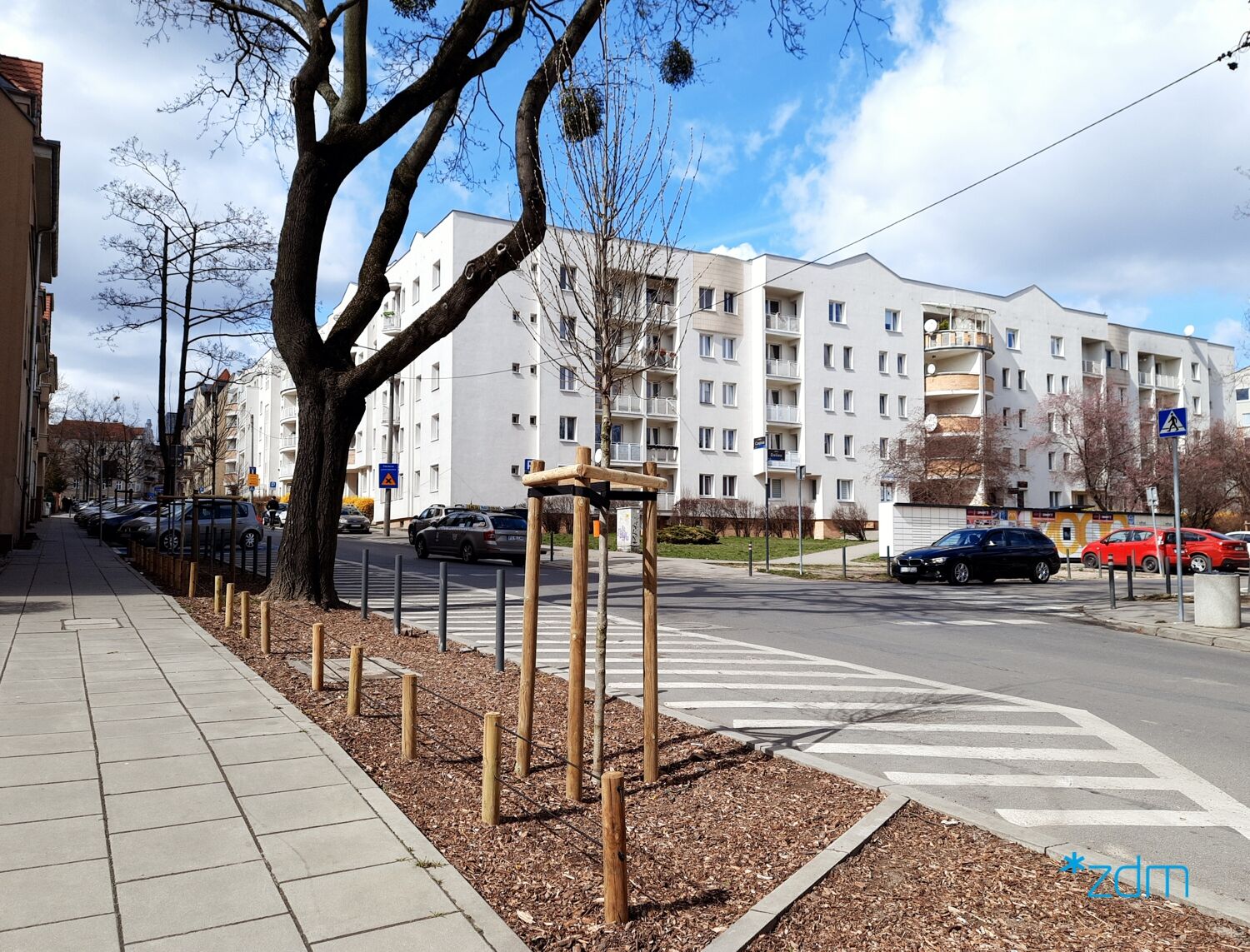 Galeria zdjęć przedstawia ulicę z samochodami, budynki i zieleń w pasie drogowym. - grafika artykułu