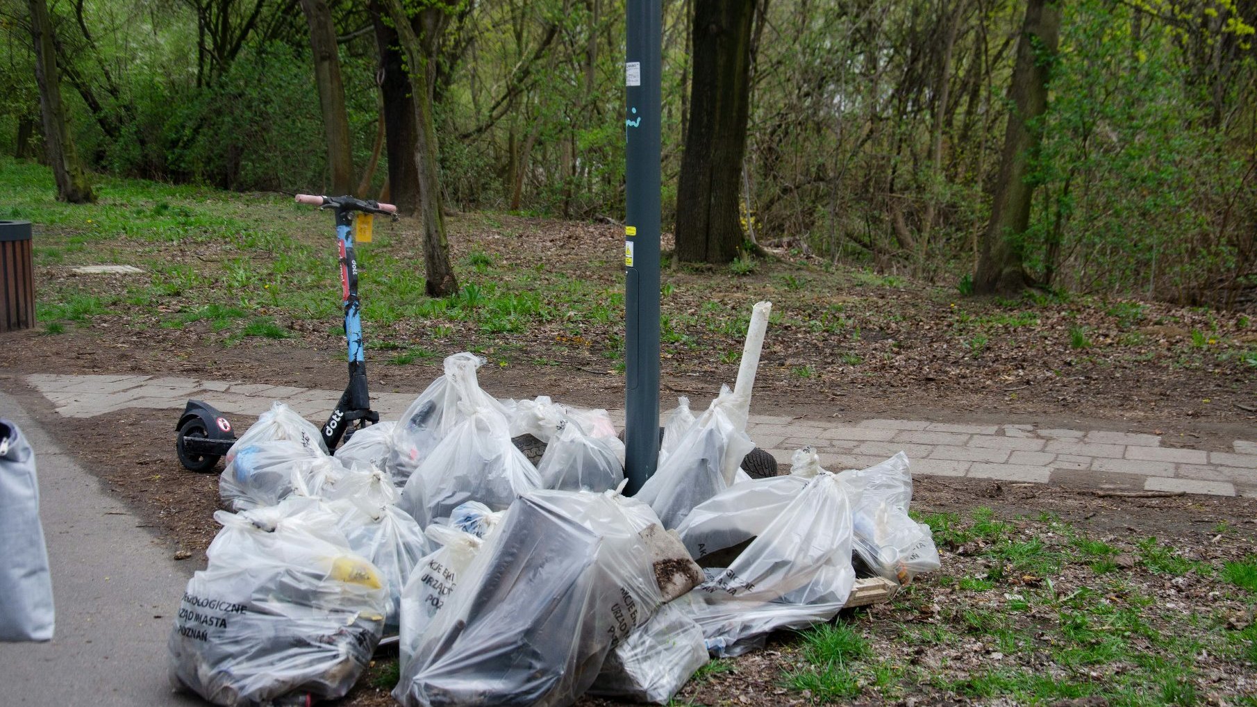 Zdjęcie przedstawia górę worków ze śmieciami w parku.