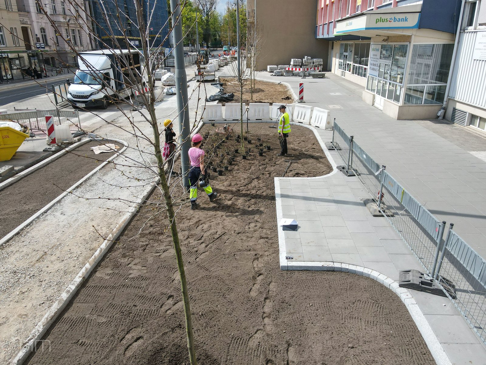 Galeria zdjęć z sadzenia drzew i zieleni przy ul. Zwierzynieckiej - grafika artykułu