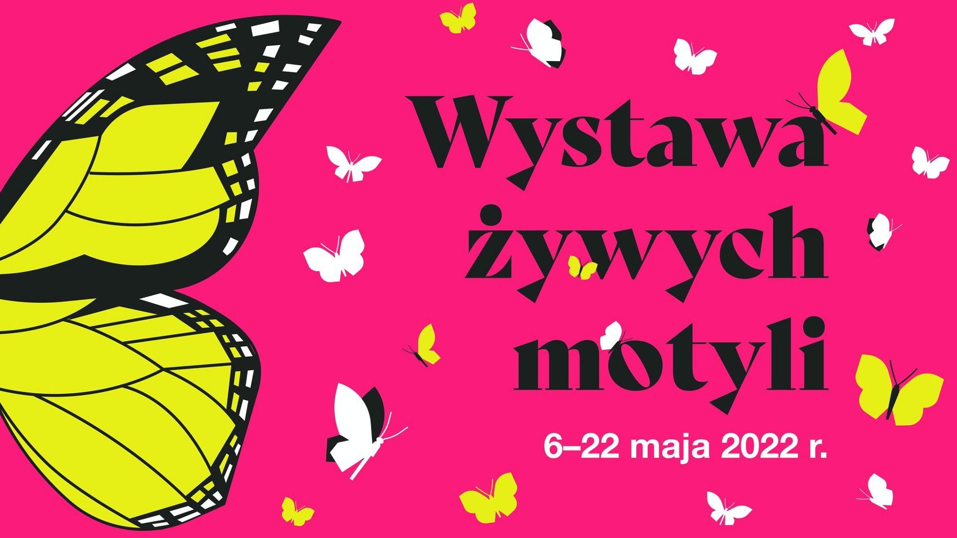 Grafika przedstawia rysunki motyli i informacje o wydarzeniu na różowym tle.